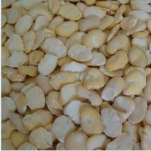 peeled broad bean(Half of the)