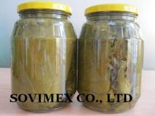  Canned   Grape  Leaf