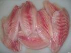 frozen tilapia fillet