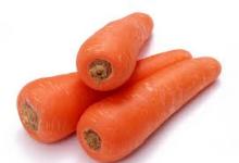 Fresh And Well Preserved Carrots