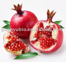 Ellagic Acid
