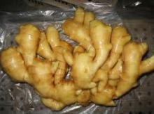 Fresh Ginger