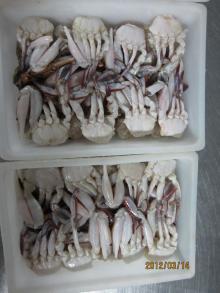 Three Spot Crab Section