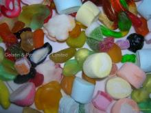 gelatin for dairy products