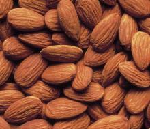quality almond nut for sale