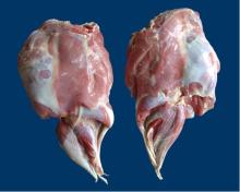 boneless hind leg of lamb meat