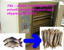 high fficiency  fish   dryer 