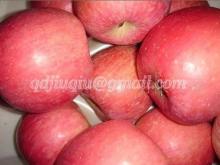 chinese fresh apple
