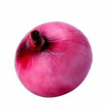 FRESH RED ONION, fresh red onions