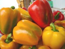 Fresh Chili Peppers