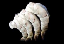 BLACK TIGER RAW PEELED AND DEVEINED