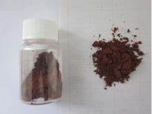 Roast Garlic Powder R5376(Savory flavor, food additives and flavorings)
