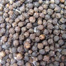 BLACK PEPPER