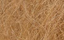  Coir  Fiber