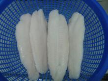 Catfish ( Pangasius ,  basa ) Fillet with glazing