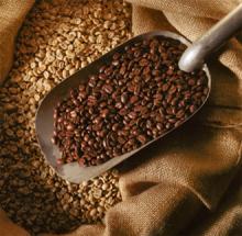Organic Coffee bean