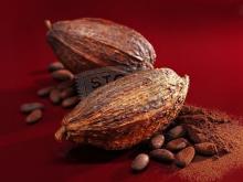Fermented Cocoa beans