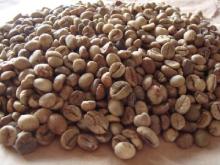  Green   Coffee  / Arabica  Coffee  /  Robusta   Coffee 