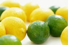 Fresh Lemon