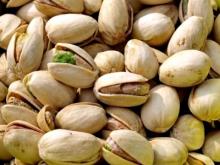 High quality pistachio nuts
