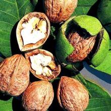 Blended Walnuts