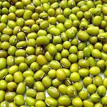 GREEN BEAN FLOUR