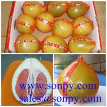 shatian pomelo,other fruits,fresh fruits
