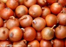 Fresh onion