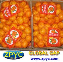 Chinese sweet baby mandarin