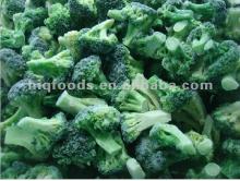  Frozen   Broccoli   Floret 