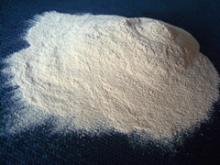 kosher standard ingredient rice protein