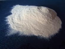 kosher protein powder
