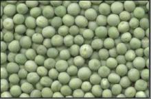 Green Peas..,,
