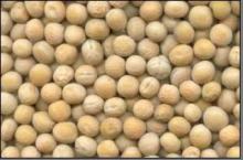 Yellow peas..,,