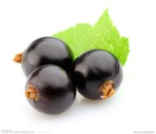 black Currant