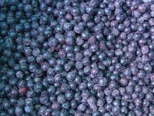 frozen blueberry