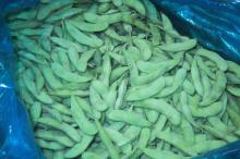 frozen soya bean