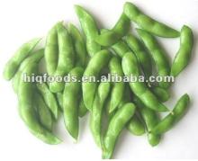 Frozen Soybean With Skin