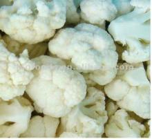 Frozen Cauliflower Floret