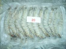 FROZEN VANNAMEI SHRIMP, CAT TIGER, PRAWN FOR KOREAN MARKET ONLY