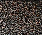 GRADE A BLACK PEPPR, BLACK PEPPER POWDER