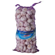 China Fresh Red/Purpld  Garlic  ( 2012   Price )