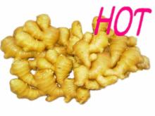 Fresh Ginger Price(100g.150g,200g,250g)