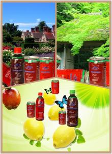 natural sugar free wild beverage juice