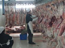  sheep / goat  carcass mutton