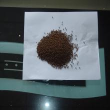 Fish food machine