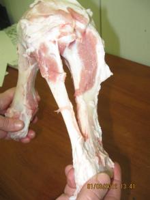 pork femur bones