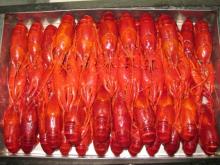 Cooked Crawfish