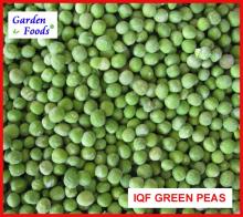  Frozen   fresh   Green   Peas 