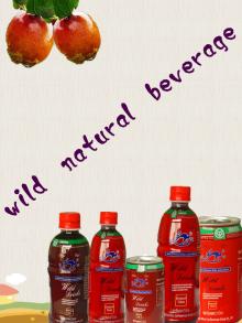 jujube fruit juice-do good to health